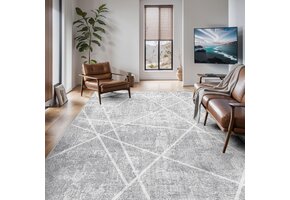 Vamcheer Grijs Geometrisch Tapijt 160x230 cm - Nu 30% Korting!