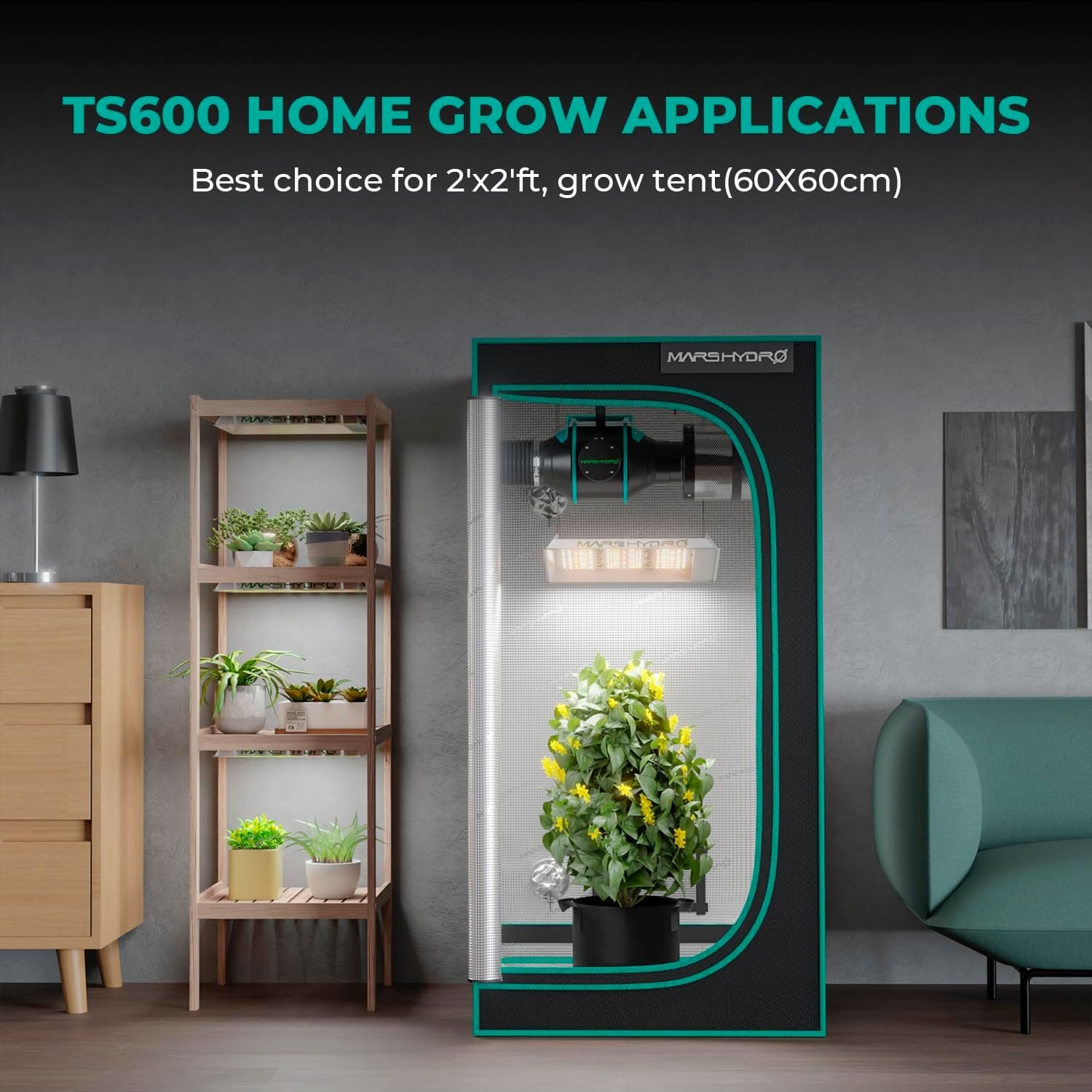 MARS HYDRO TS600 Groeilamp 100W - 30% Korting!