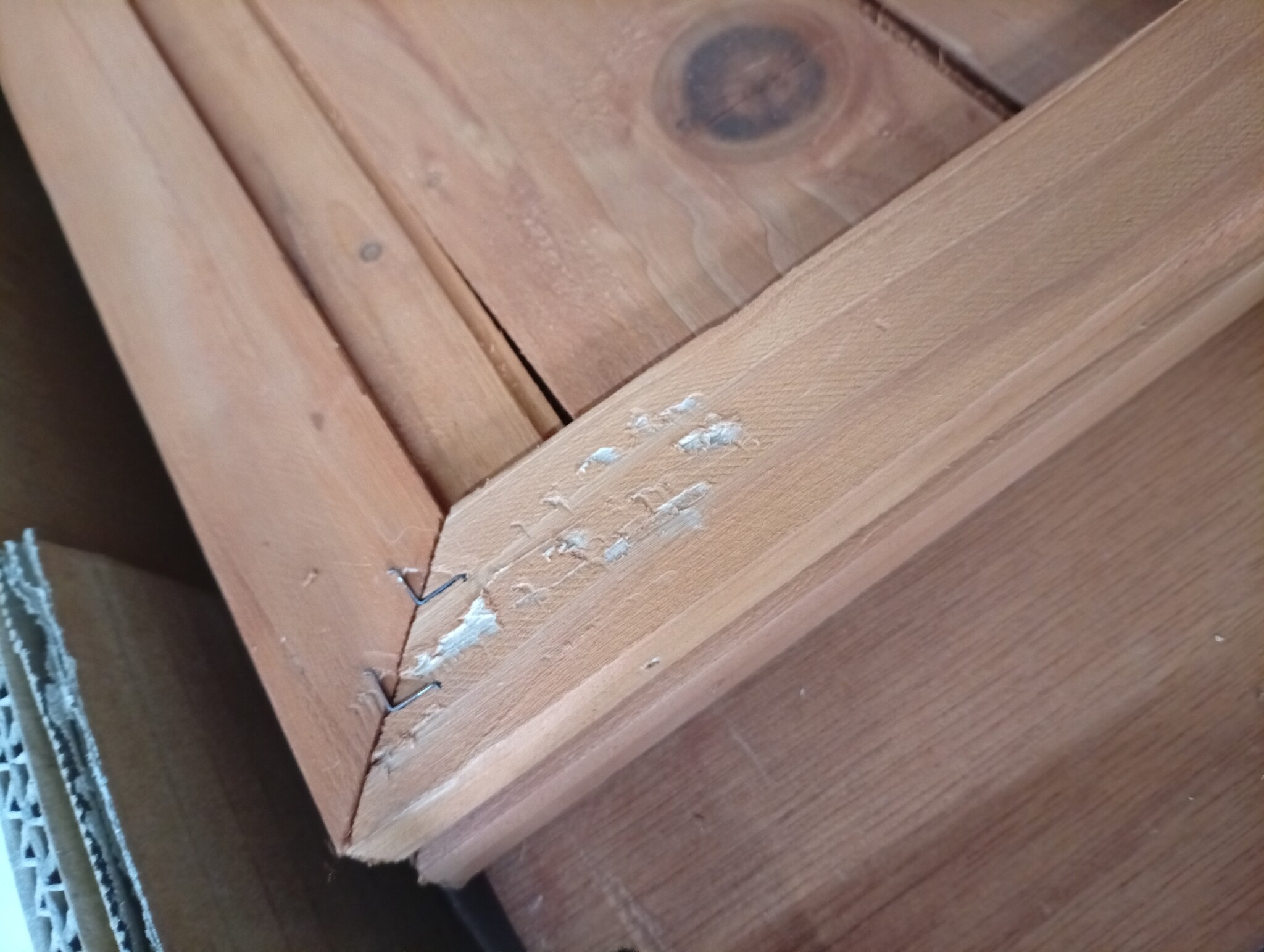 vidaXL Konijnenhok met 3 deuren - 60% Korting!