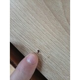 vidaXL Wandtafel 180cm Sonoma Eiken - 55% Korting!