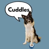 MyDogTalks Communicatieknoppen Hond & Kat | -55% Korting