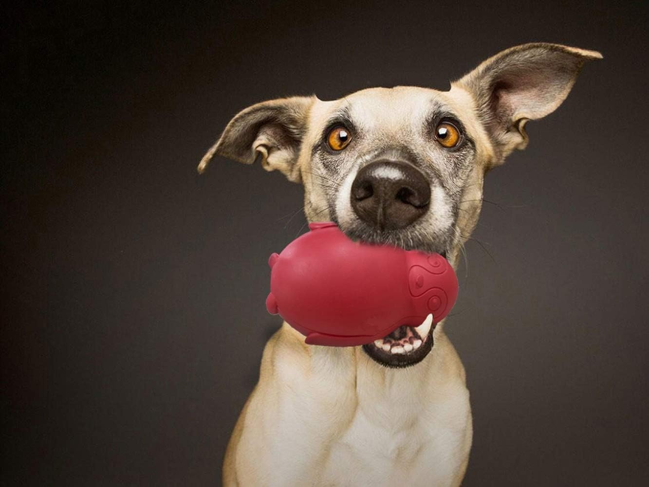 Pinguïn duurzaam hondenkauwspeelgoed, vriesbare vulbare puppy traktatie dosering kauwspeelgoed, natuurlijk rubber interactief puzzelspel hondenspeelgoed voor kleine middelgrote grote honden, leuk om te jagen en te halen, rundvlees smaak