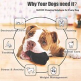 Pinguïn kauwspeelgoed voor honden, hondenspeelgoed, vulbaar, lekkernijen, kauwspeelgoed, natuurlijk rubber, interactief puzzelspel, hondenspeelgoed voor kleine, middelgrote honden, plezier om te jagen