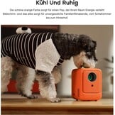 Mini Beamer Heyup Boxe Lite: 1080P, 10000L, Bluetooth - Nu 30% Korting!