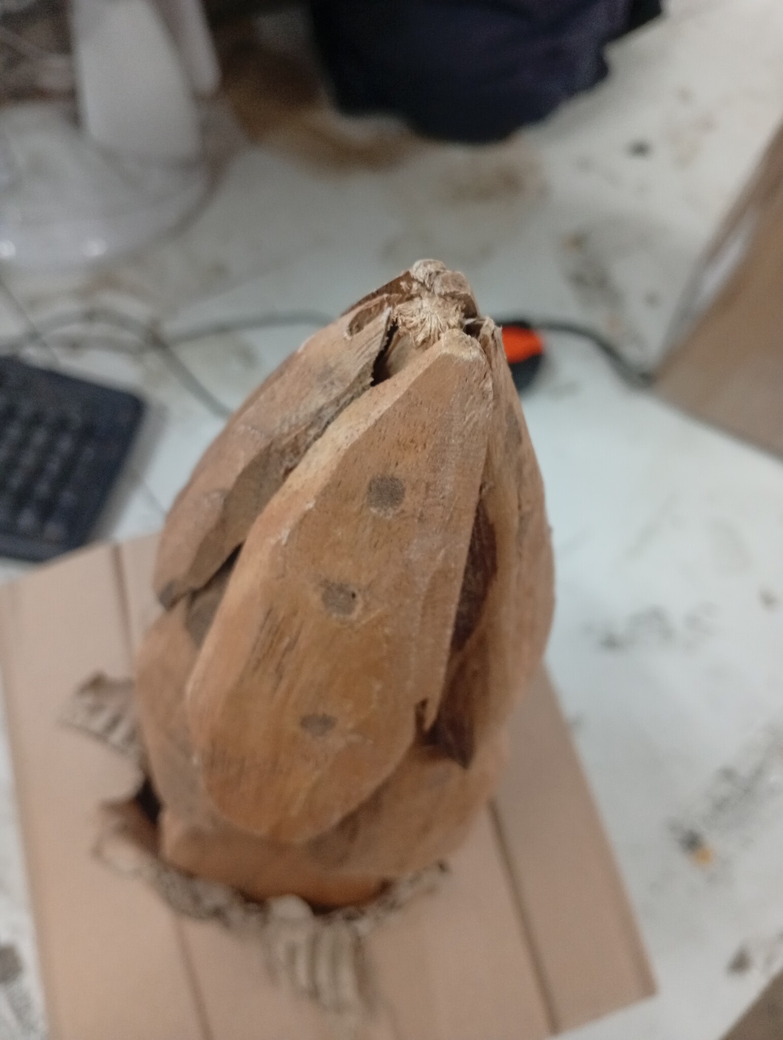 VidaXL Houten Kerstboom 50cm Bruin - 55% Korting