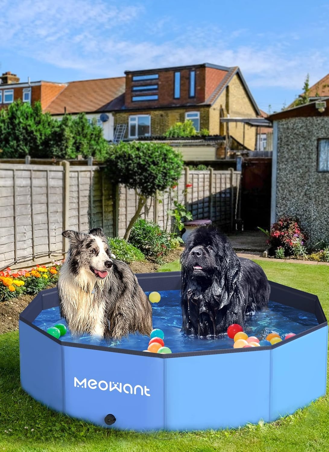 Meowant Opvouwbaar Hondenzwembad | Grote Honden | 30% Korting