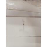 vidaXL Spoelbakonderkast Lucca - Bewerkt Hout Wit - 55% Korting