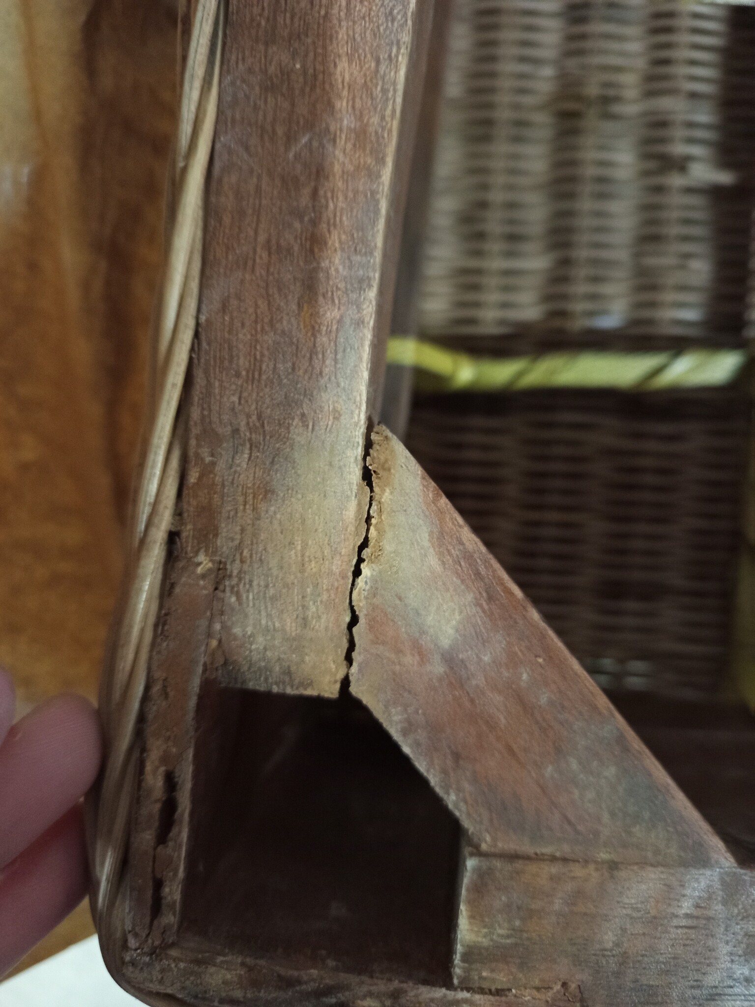 vidaXL Eetkamerstoelen 2 st natuurlijk rattan bruin