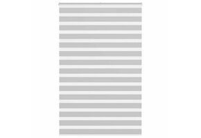 vidaXL Zebra rolgordijn lichtgrijs (67% korting)