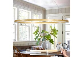 Modern DIY Circle LED Chandelier | 1 Gold Rings:100cm=45W | Metal + Acrylic LED Pendant Lamp | 2.4G Dimmable Remote Control | Round Ceiling Pendant Light Living Room Bedroom Dining Room Kitchen