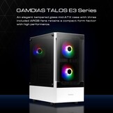 GAMDIAS ATX Argus E3 v2 RGB Tower met glasplaat (BL
