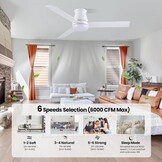 CJOY Plafondventilator met Licht | 152 cm | Stil & Dimbare LED | Nu 29% Korting!