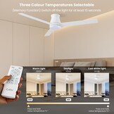 CJOY Plafondventilator met Licht | 152 cm | Stil & Dimbare LED | Nu 29% Korting!