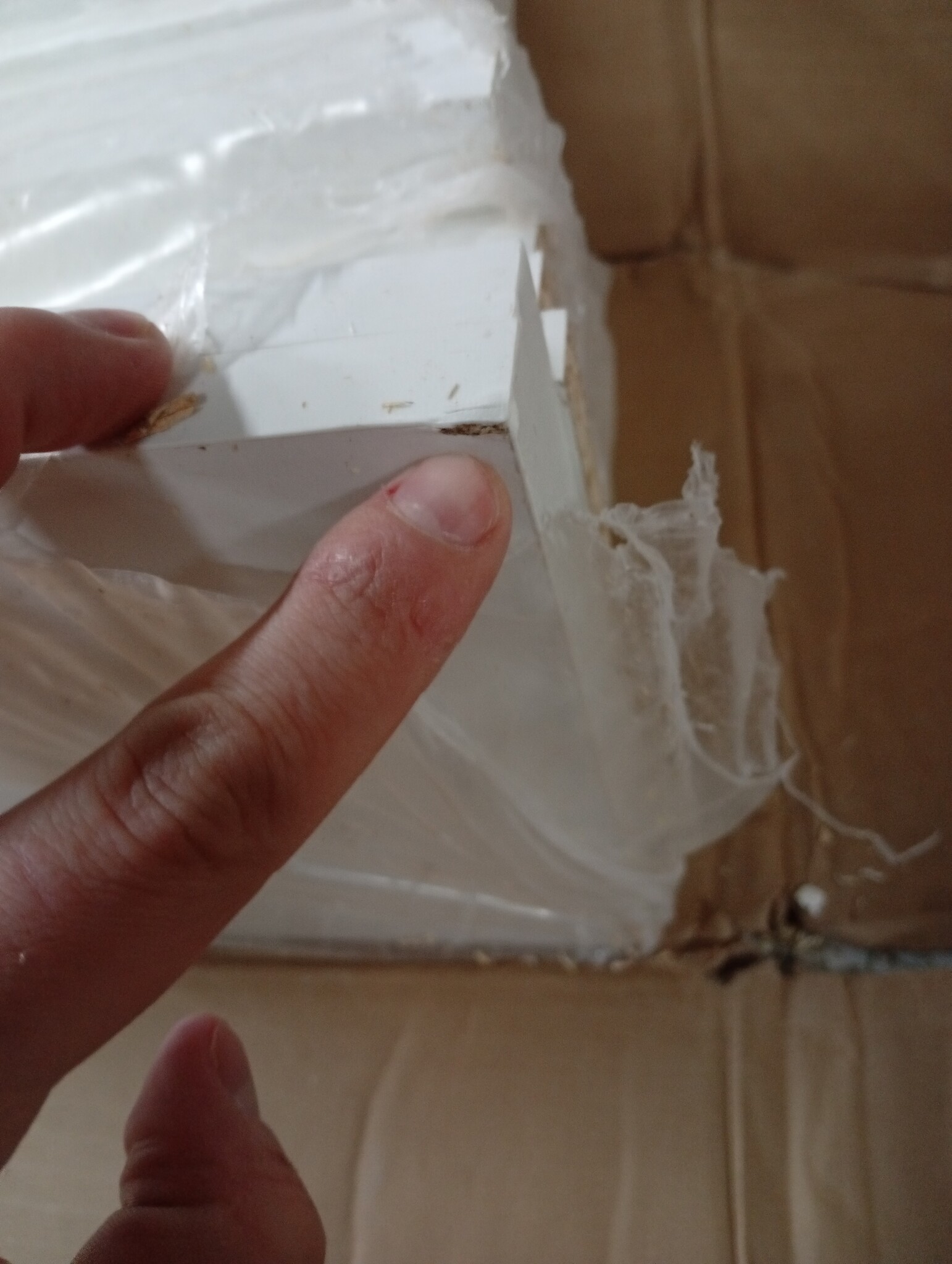 vidaXL Hoofdeinde LED Wit (220cm) - Direct 53% Korting!