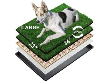 MEEXPAWS Kunstgras Hondentoilet 85x59cm - 2x Vervangend Gras, 2 Training Pads - 29% Korting!