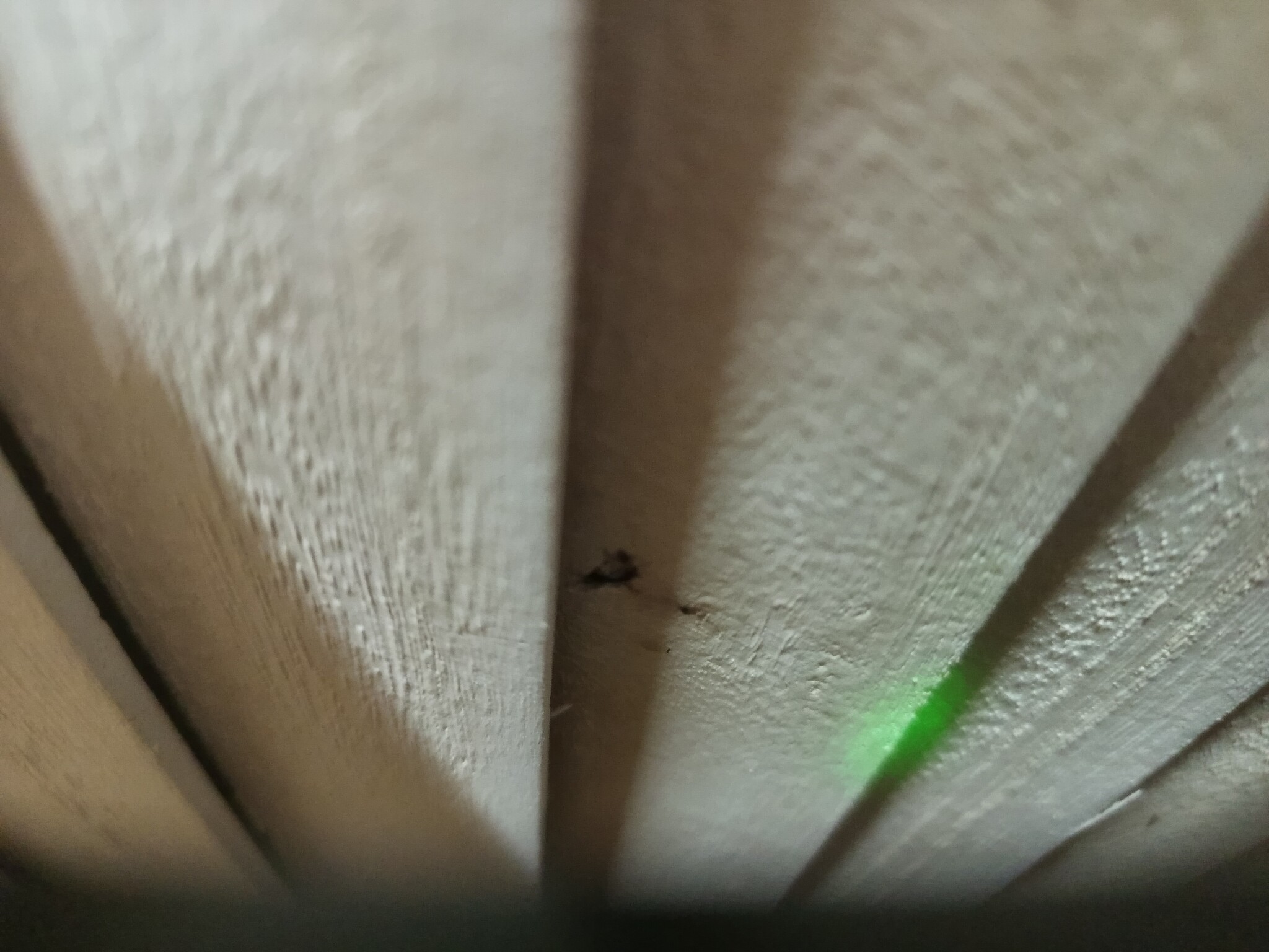 vidaXL Kamerscherm met 3 panelen massief paulowniahout wit