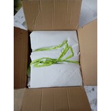 vidaXL Prieeldak Wit 4x3m - 53% Korting op Geretourneerd Product!