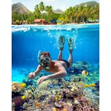 Zenoplige Snorkelset volwassenen met flippers, snorkelmasker met verstelbare zwemvinnen, snorkelpakketten snorkelmasker en flippers set met draagtas voor beginners en snorkelaars