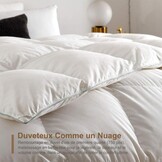 DWR Zomerdekbed 240x260cm - Lichtgewicht & Ademend - 26% Korting!