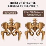 2-in-1 Trainer: Benen, Bekkenbodem & Zitvormer - 28% Korting!