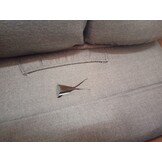 VidaXL Fauteuil Verstelbaar Stof Donkergrijs - 67% Korting!