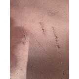 VidaXL Slaapbank Fluweel Roze - 90x200 cm (63% Korting!)