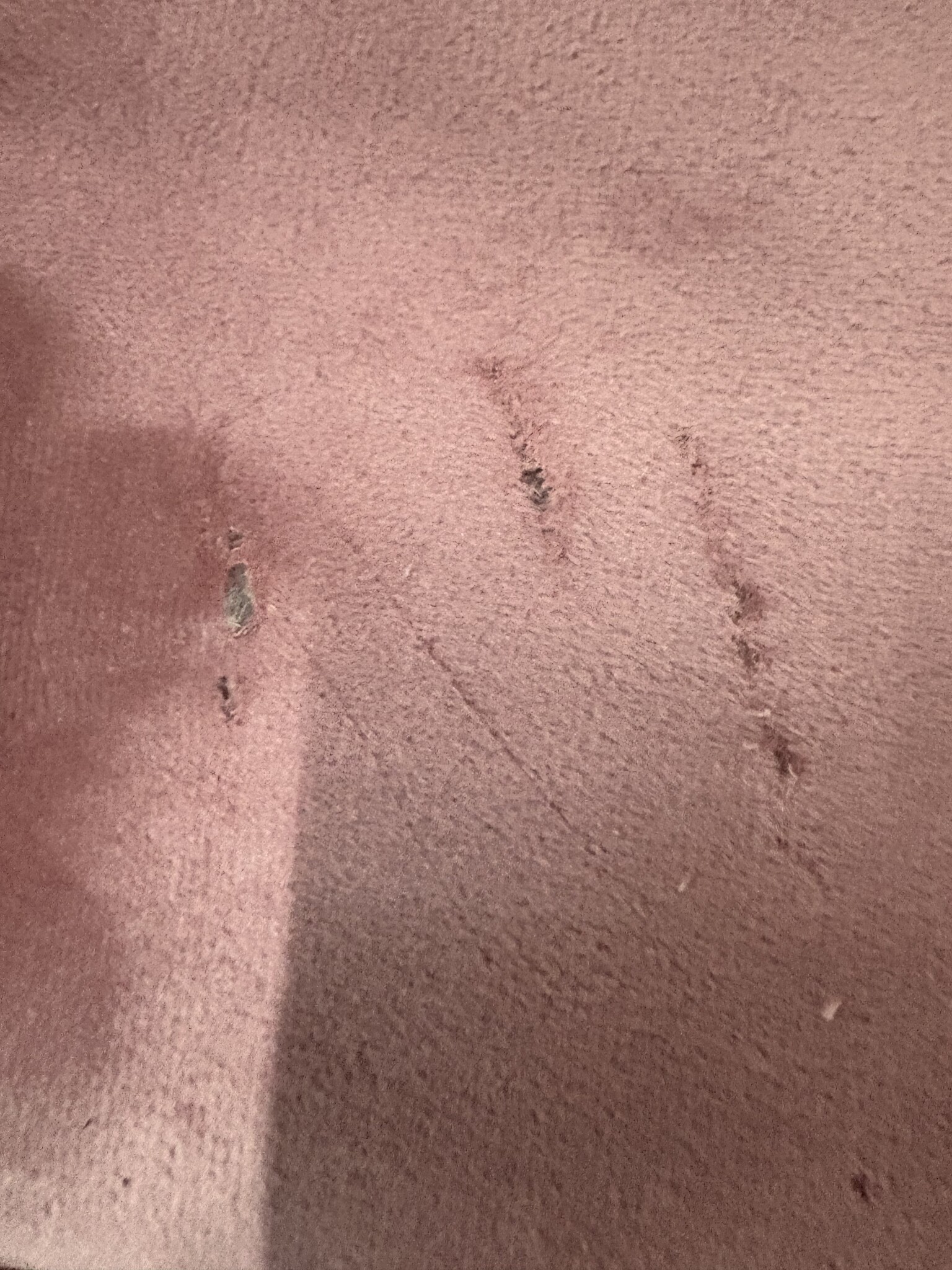 VidaXL Slaapbank Fluweel Roze - 90x200 cm (63% Korting!)