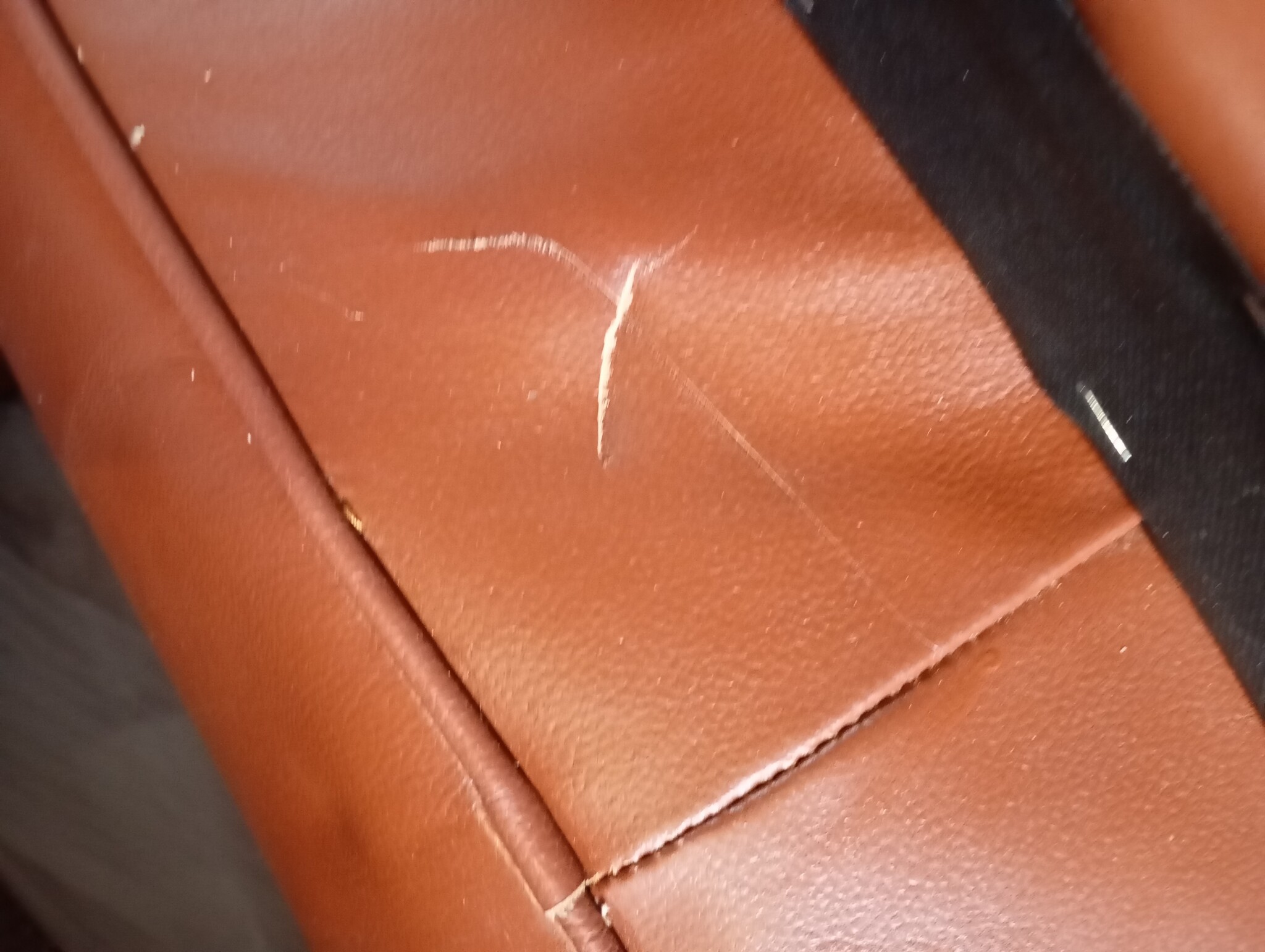 VidaXL Fauteuil - Echt Geitenleer Bruin (59% Korting)