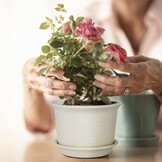 Set van 2 Zwarte Bloempotten (15cm) met Korting - Retourproduct