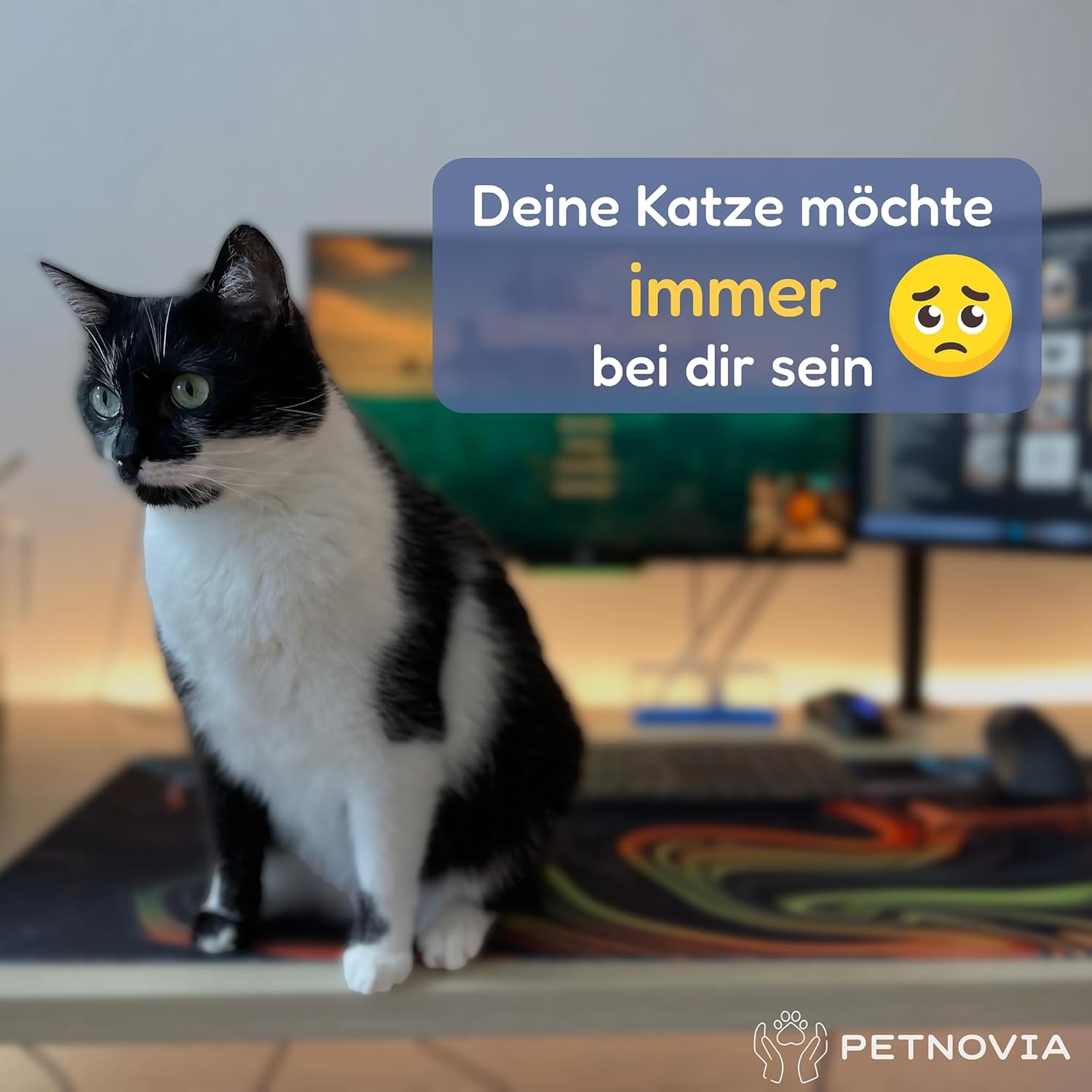 Homeoffice Kattenmand met Korting - Gezellig & Wasbaar - 31% Korting!
