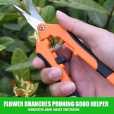 4 Stuks Kleine Snoeischaren 16.5 cm, Roestvrij Staal, Bloemenscharen met Rechte en Gebogen Bladen