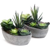 T4U Kunstplant Vetplant Mini Bootvorm Donkergroen, Set van 2, Decoratie