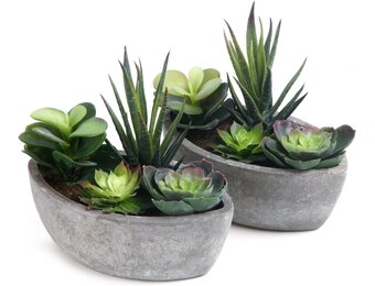 T4U Kunstplant Vetplant Mini Bootvorm Donkergroen, Set van 2, Decoratie