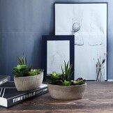 T4U Kunstplant Vetplant Mini Bootvorm Donkergroen, Set van 2, Decoratie