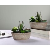 T4U Kunstplant Vetplant Mini Bootvorm Donkergroen, Set van 2, Decoratie