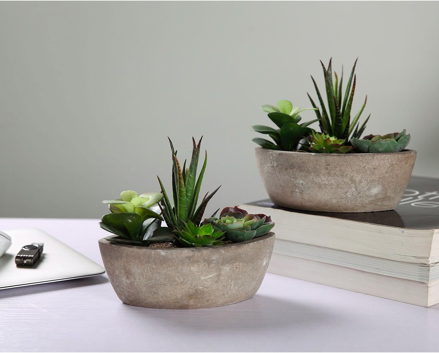 T4U Kunstplant Vetplant Mini Bootvorm Donkergroen, Set van 2, Decoratie