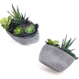 T4U Kunstplant Vetplant Mini Bootvorm Donkergroen, Set van 2, Decoratie