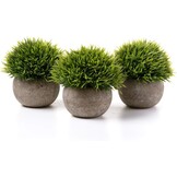 T4U Kunstplant Vetplant Mini Bootvorm Donkergroen, Set van 2, Decoratie