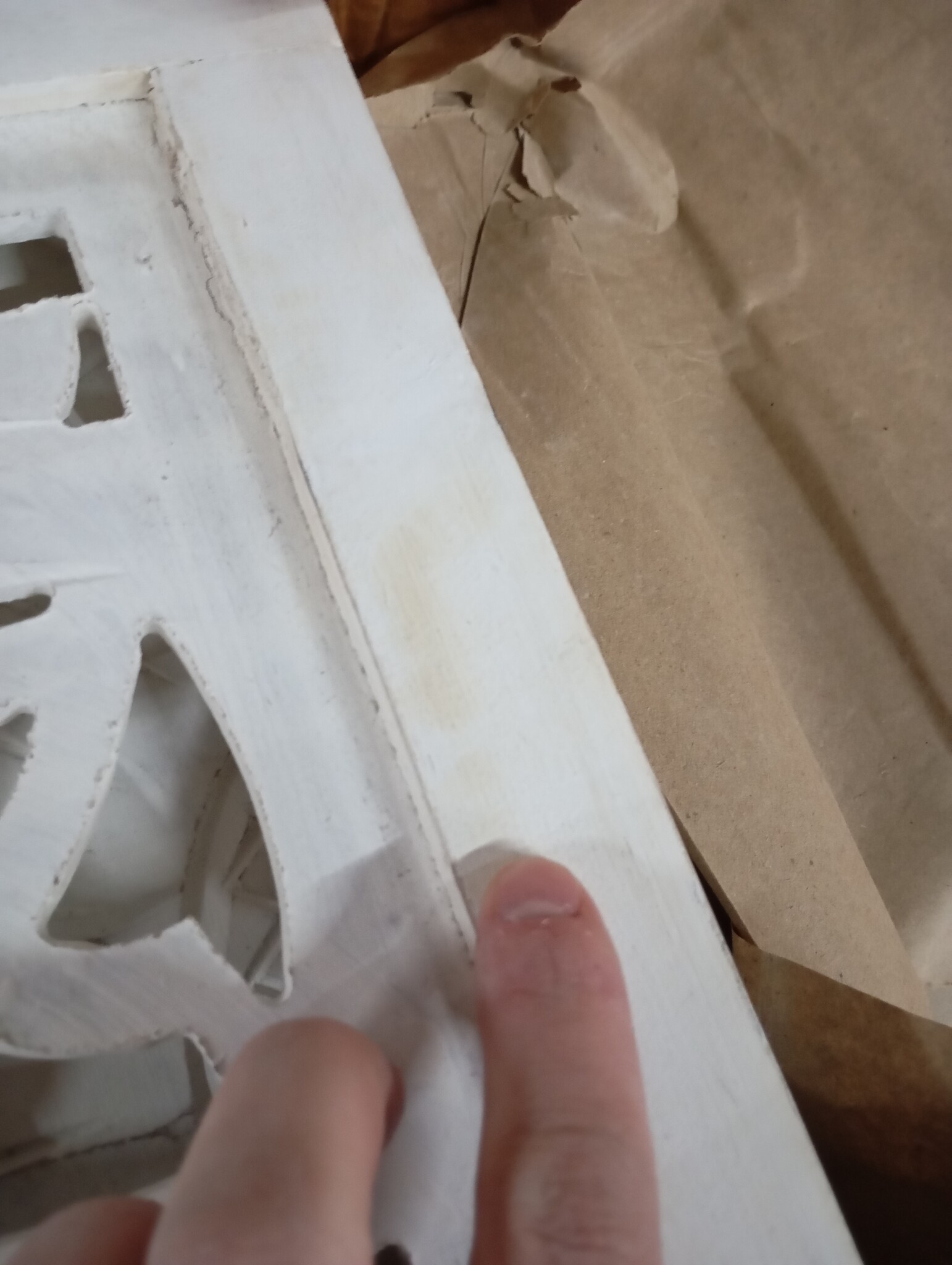 vidaXL Kamerscherm 3-Delig Mangohout Wit - 54% Korting