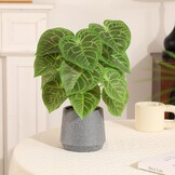 Kunstplant Kaarsblad (Candle Leaf) Groen/Grijs, 35 cm hoog, met pot