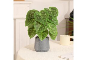 Kunstplant Kaarsblad Groen/Grijs (35 cm) - 19% Korting