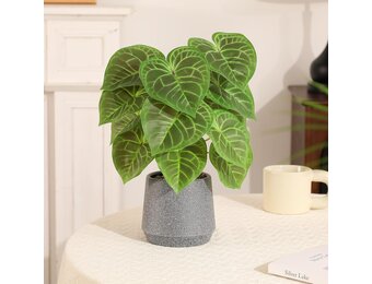 Kunstplant Kaarsblad (Candle Leaf) Groen/Grijs, 35 cm hoog, met pot
