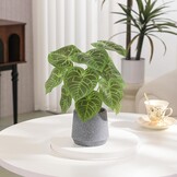 Kunstplant Kaarsblad (Candle Leaf) Groen/Grijs, 35 cm hoog, met pot