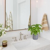 Kunstplant Kaarsblad (Candle Leaf) Groen/Grijs, 35 cm hoog, met pot