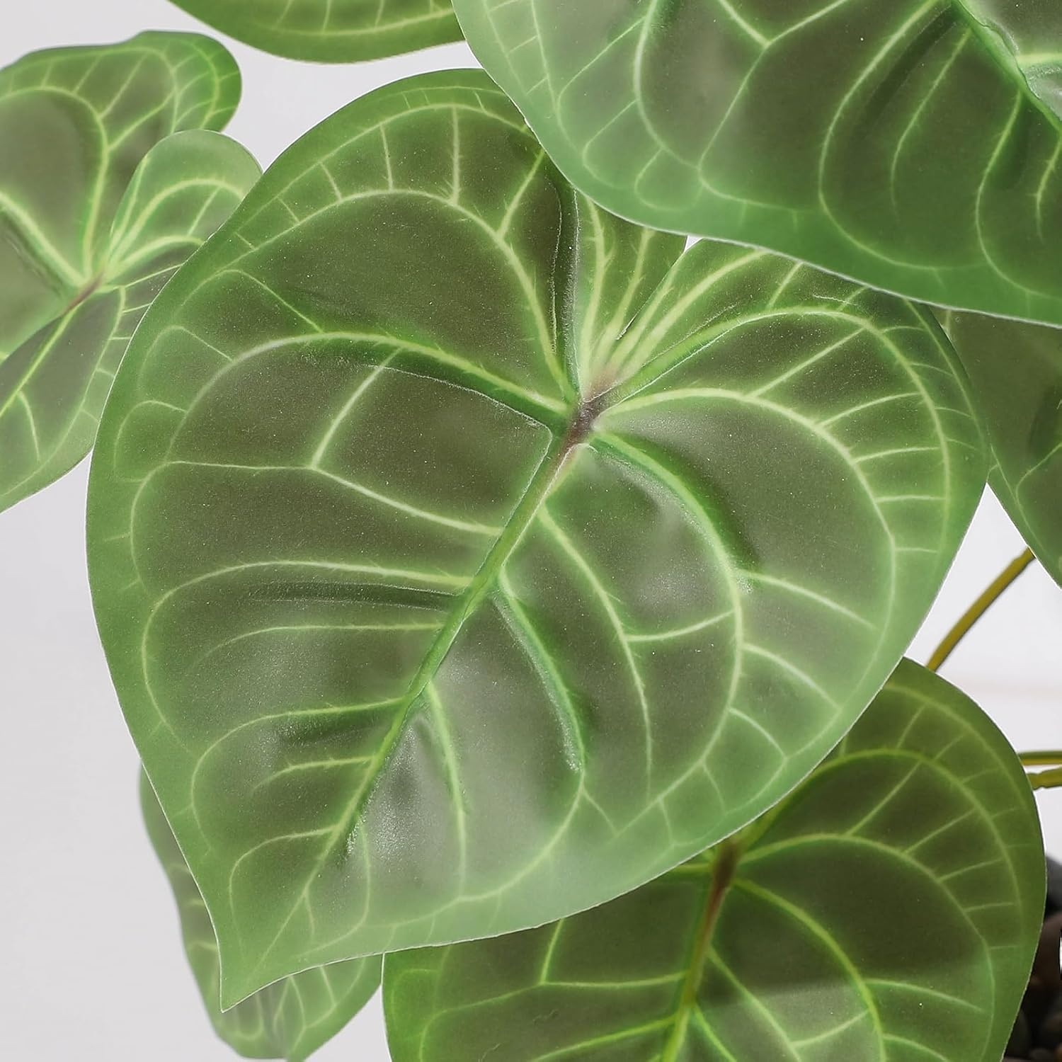 Kunstplant Kaarsblad (Candle Leaf) Groen/Grijs, 35 cm hoog, met pot