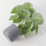 Kunstplant Kaarsblad (Candle Leaf) Groen/Grijs, 35 cm hoog, met pot