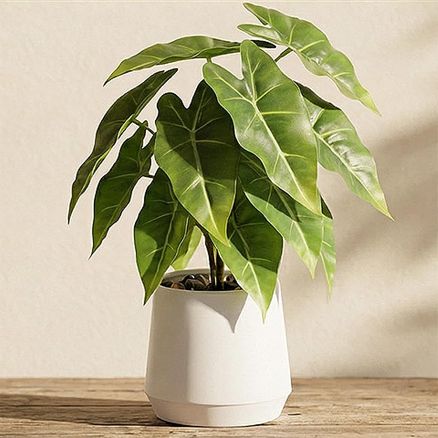 Kunstplant Kaarsblad (Candle Leaf) Groen/Grijs, 35 cm hoog, met pot