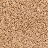 VidaXL Beige Trapmatten 15 stuks - 33% Korting!