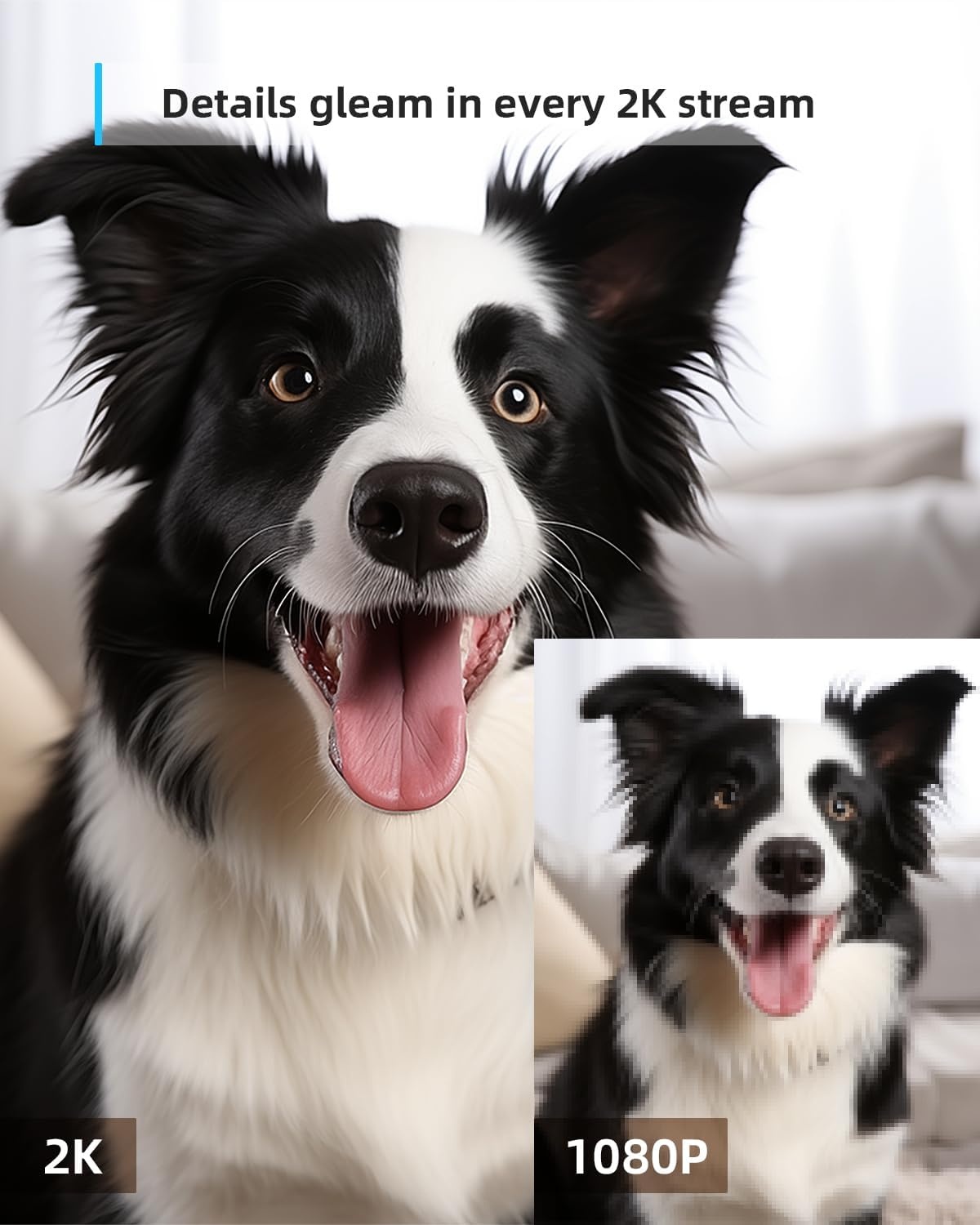 Blurams 2K Cameraset (2 st.) - 35% Korting!