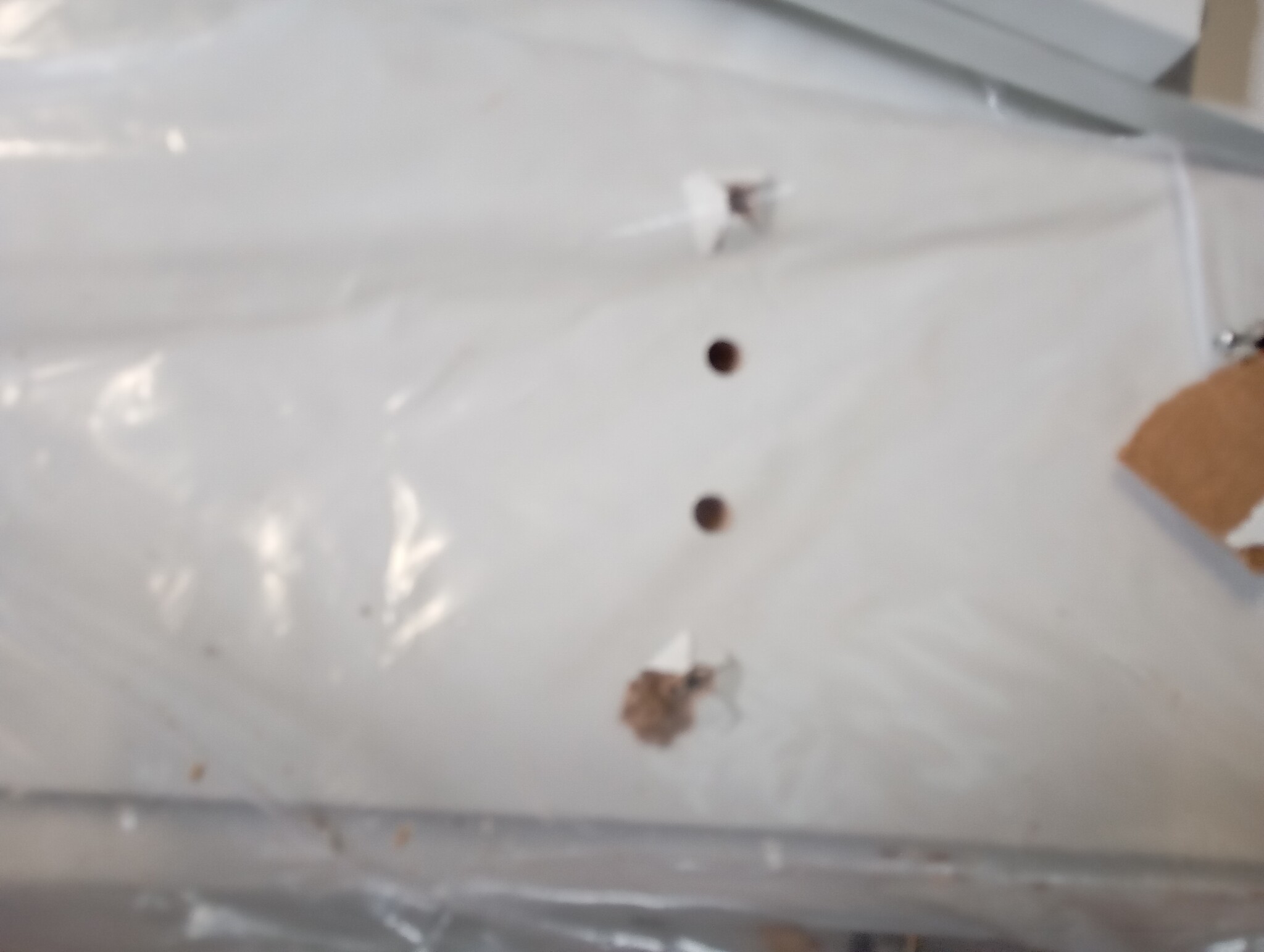 VidaXL Bureau met Schappen Wit - 58% Korting!